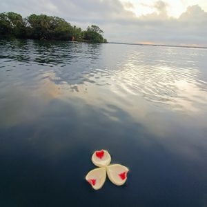 bike_jalal_tours_bacalar_saastal_agosto_2022 (9)